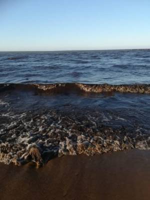 СМИ: В южной части Байкала вода окрасилась в черный цвет