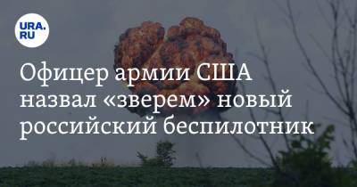 Офицер армии США назвал «зверем» новый российский беспилотник