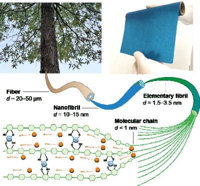 Гибкие и сверхпроводимые: ученые создали батареи из дерева