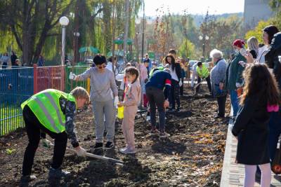 «Зеленый десант» высадил сотни саженцев у детсада в Ставрополе