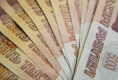 Представившиеся переписчицами населения украли более миллиона рублей у пенсионерки из Пушкина