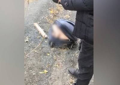 В Орске в чемодане обнаружено обезглавленное тело девушки