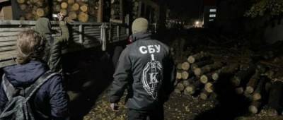 На Луганщине СБУ разоблачила группу «черных» лесорубов (фото)