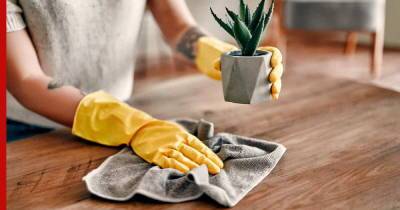 Как уменьшить количество пыли в квартире: простые советы