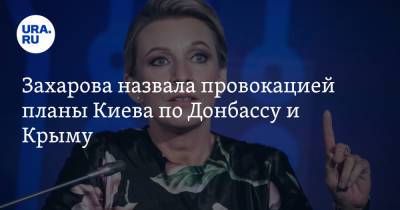 Захарова назвала провокацией планы Киева по Донбассу и Крыму