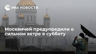 МЧС предупреждает москвичей о сильном ветре в субботу