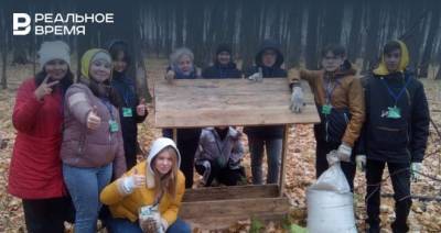 В лесах Татарстана начали устанавливать кормушки для диких животных