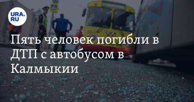 Пять человек погибли в ДТП с автобусом в Калмыкии. Видео