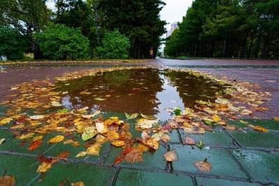 Небольшие дожди со штормовым ветром и до +8 градусов тепла ждут жителей Красноярска 24 октября