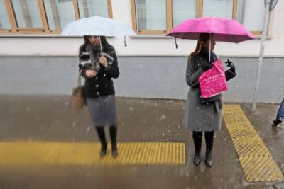 Синоптики предупредили москвичей о дожде со снегом 24 октября