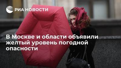 В Москве и Подмосковье объявили желтый уровень погодной опасности из-за сильного ветра