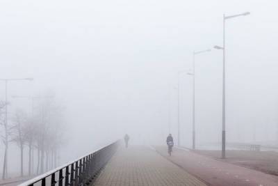 В Ярославле ожидают ветер, туман и снег