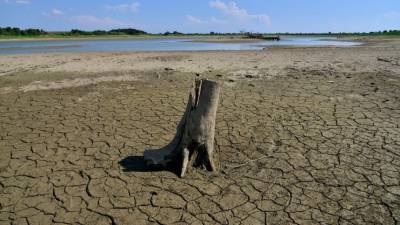 Климатолог предупредил о проблемах с водой и росте засух в России