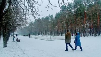 Зима в Украине будет более традиционной, какой погоды ждать: "Не с 30-градусным морозом, но..."