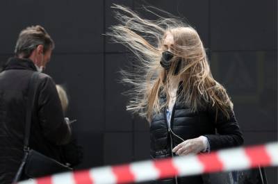 Желтый уровень погодной опасности объявлен в Москве из-за сильного ветра