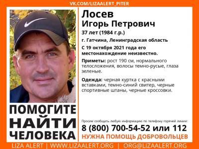 Элизабет Алерт - В Гатчине без вести пропал 63-летний мужчина - ivbg.ru - Украина