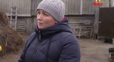 Безработной сельчанке дали 250 тысяч рублей на собственное дело: "Решила разводить быков"