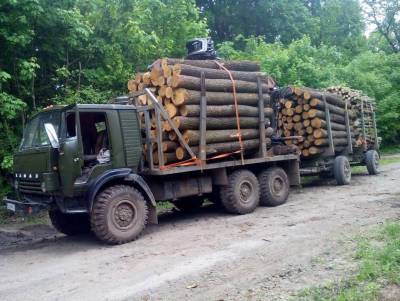 В Полоцком районе похитили лесовоз