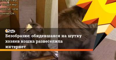 Безобразие: обидевшаяся нашутку хозяев кошка развеселила интернет