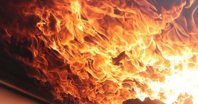 Женщина и ребенок погибли при пожаре в дачном доме в Подмосковье