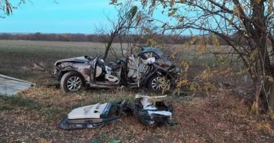 На Херсонщине авто с подростками врезалась в дерево, четверо погибших