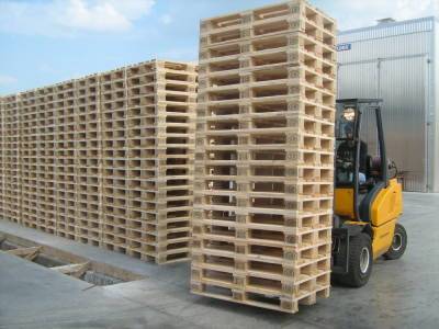Проведен карантинный досмотр экспортной древесной продукции