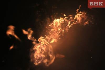 В Печоре на пожаре погибла дачница