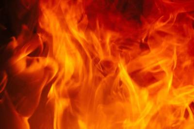 Ночной пожар в Лужском районе погубил человека