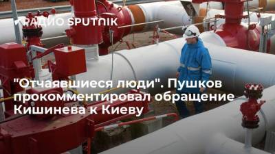 Сенатор Пушков прокомментировал обращение Молдавии к Украине с просьбой о поставках газа