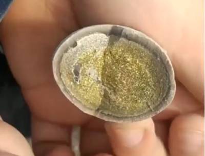 В Сети показали найденное в Ундорах «золотое яичко» возрастом 150 млн лет
