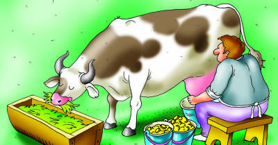 Анекдоты про коров: 24 октября