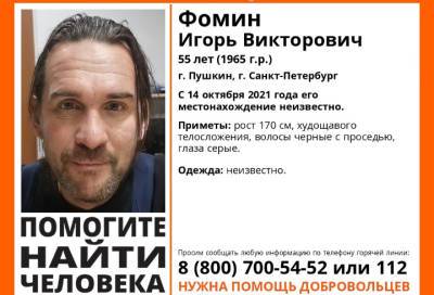 Волонтеры ищут 55-летнего мужчину в Петербурге и Пушкине - online47.ru - Санкт-Петербург