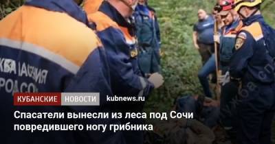 Спасатели вынесли из леса под Сочи повредившего ногу грибника