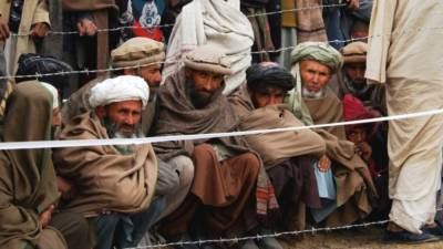 Талибы предлагают пшеницу в обмен на «тяжелую работу»