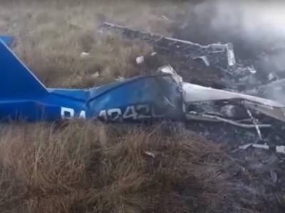 В Подмосковье рухнул и загорелся самолет: люди на борту погибли (видео)