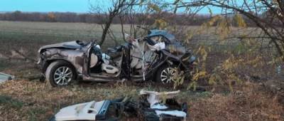 На Херсонщине разбилась машина с 15-летним водителем: погибли четыре человека