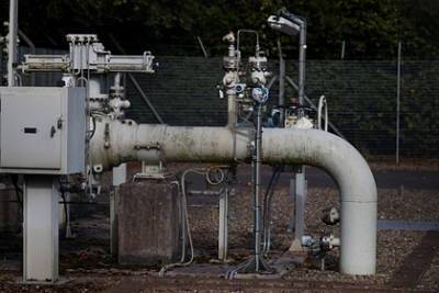 Европейским странам предрекли внутреннюю борьбу за газ