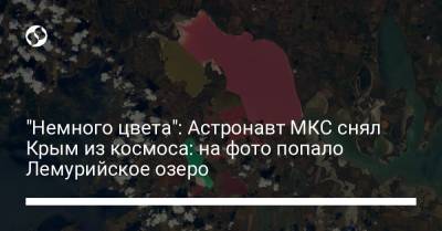 "Немного цвета": Астронавт МКС снял Крым из космоса: на фото попало Лемурийское озеро