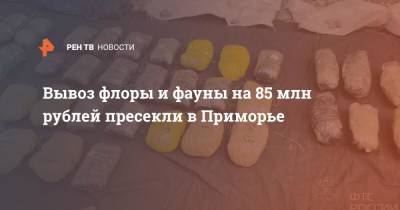 Вывоз флоры и фауны на 85 млн рублей пресекли в Приморье