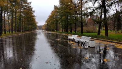 Гидрометцентр: 25 октября станет самым холодным днем месяца в Европейской России