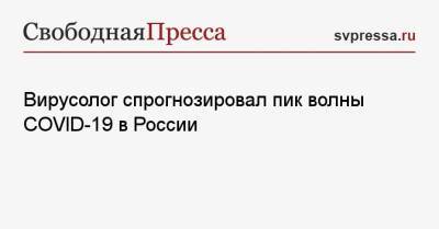 Вирусолог спрогнозировал пик волны COVID-19 в России