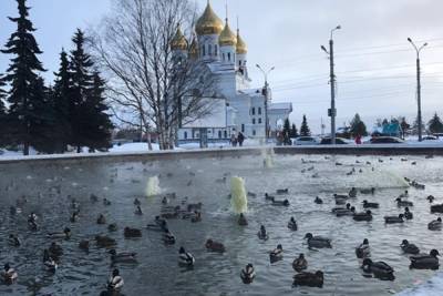 Архангельский дворец спорта намерен избавиться от фонтана с уточками