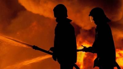 Пожарные спасли трех малышей из горящей квартиры в Новосибирске - 5-tv.ru - Новосибирск