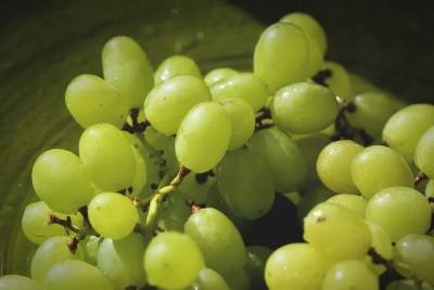 Ученые рассказали, как виноград помогает человеку поддерживать здоровье - vm.ru