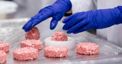 Культивируемое мясо может лишить человечество свободы выбора — ветврач