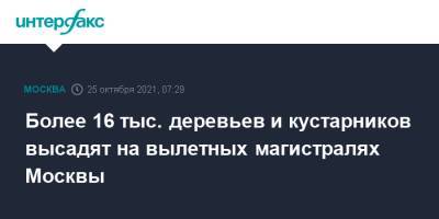 Более 16 тыс. деревьев и кустарников высадят на вылетных магистралях Москвы