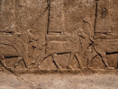 Итальянские археологи нашли в Ираке винодельню возрастом около 2700 лет