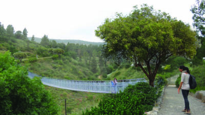 Самый длинный подвесной мост появится в Израиле