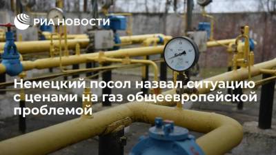 Посол Геза Андреас фон Гайр назвал ситуацию с ценами на газ общеевропейской проблемой