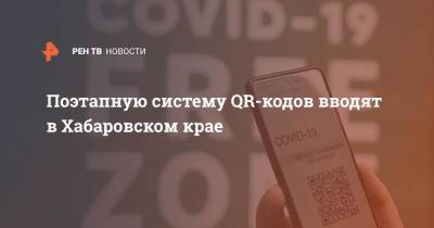Поэтапную систему QR-кодов вводят в Хабаровском крае
